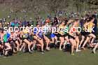 Senior womens 2025 UK CAU Inter Counties Cross Country Champs., Wollaton Park, Nottingham. Photo: David T. Hewitson/Sports for All Pics